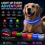 Waterproof LED Dog Collar