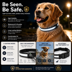 Waterproof LED Dog Collar