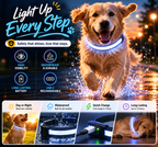 Waterproof LED Dog Collar