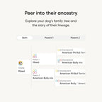 Dog DNA Test Kit